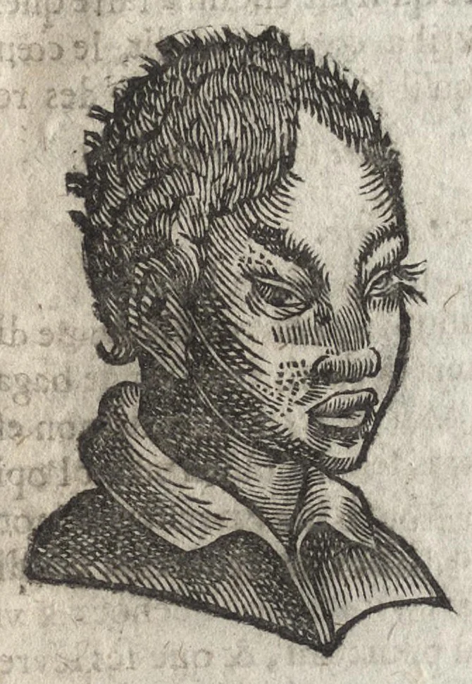 An illustration from La physionomie humaine de Iean Baptiste Porta neapolitain, divisée en quatre liures : enrichie de quantité de figures tirées au naturel, ou par les signes exterieurs du corps, on voit si clairement la complexion, les mœurs, & les desseins des hommes, qu'on semble penetrer iusques au plus profond de leurs ames ..., 1655, leaf 252
