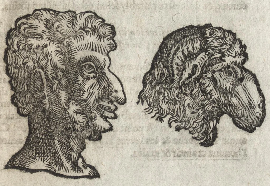An illustration from La physionomie humaine de Iean Baptiste Porta neapolitain, divisée en quatre liures : enrichie de quantité de figures tirées au naturel, ou par les signes exterieurs du corps, on voit si clairement la complexion, les mœurs, & les desseins des hommes, qu'on semble penetrer iusques au plus profond de leurs ames ..., 1655, leaf 254