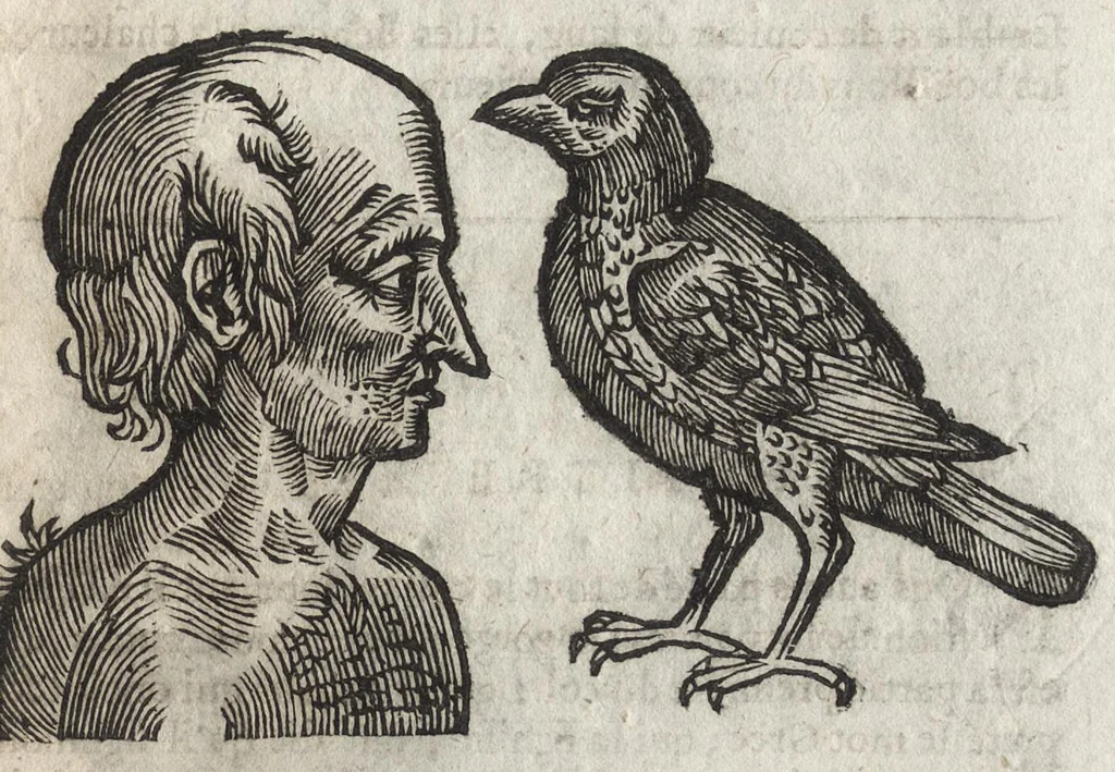 An illustration from La physionomie humaine de Iean Baptiste Porta neapolitain, divisée en quatre liures : enrichie de quantité de figures tirées au naturel, ou par les signes exterieurs du corps, on voit si clairement la complexion, les mœurs, & les desseins des hommes, qu'on semble penetrer iusques au plus profond de leurs ames ..., 1655, leaf 314
