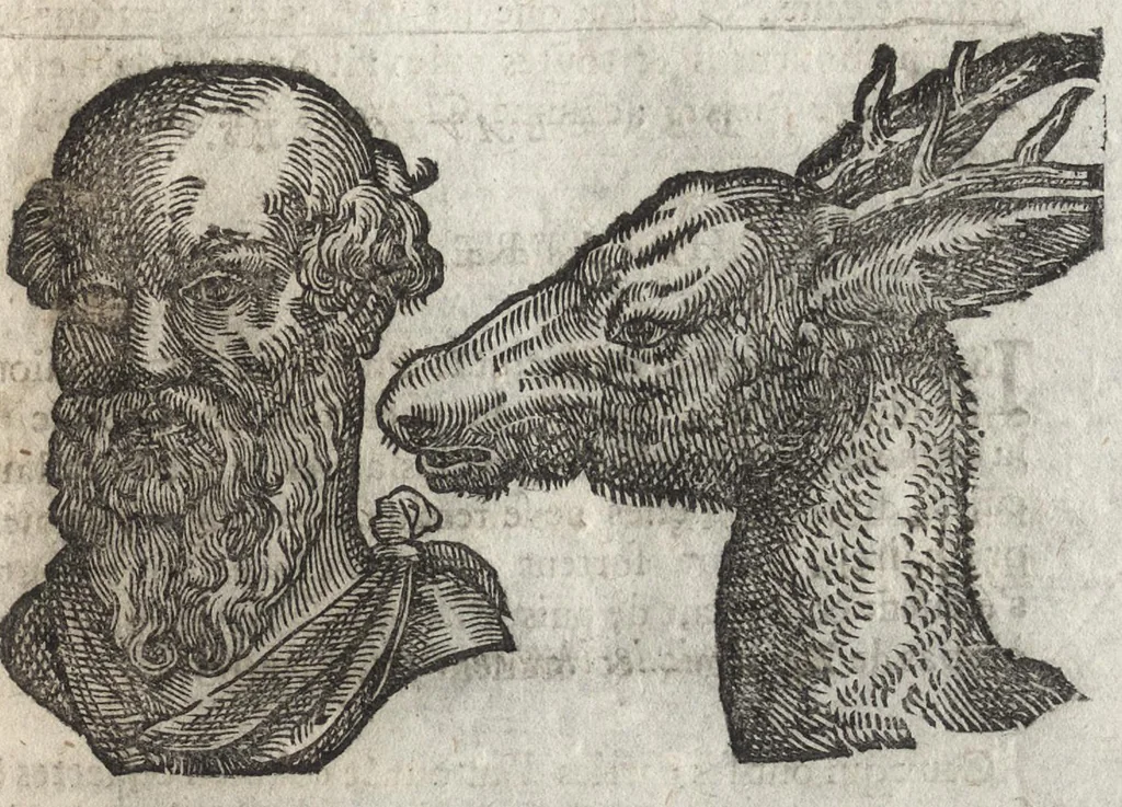 An illustration from La physionomie humaine de Iean Baptiste Porta neapolitain, divisée en quatre liures : enrichie de quantité de figures tirées au naturel, ou par les signes exterieurs du corps, on voit si clairement la complexion, les mœurs, & les desseins des hommes, qu'on semble penetrer iusques au plus profond de leurs ames ..., 1655, leaf 316