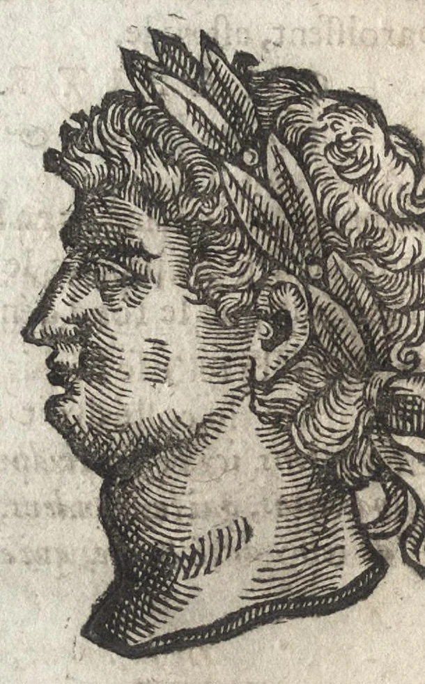 An illustration from La physionomie humaine de Iean Baptiste Porta neapolitain, divisée en quatre liures : enrichie de quantité de figures tirées au naturel, ou par les signes exterieurs du corps, on voit si clairement la complexion, les mœurs, & les desseins des hommes, qu'on semble penetrer iusques au plus profond de leurs ames ..., 1655, leaf 319
