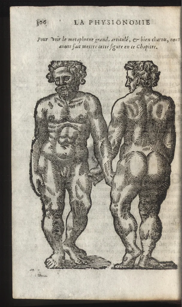An illustration from La physionomie humaine de Iean Baptiste Porta neapolitain, divisée en quatre liures : enrichie de quantité de figures tirées au naturel, ou par les signes exterieurs du corps, on voit si clairement la complexion, les mœurs, & les desseins des hommes, qu'on semble penetrer iusques au plus profond de leurs ames ..., 1655, leaf 325