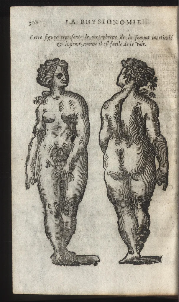 An illustration from La physionomie humaine de Iean Baptiste Porta neapolitain, divisée en quatre liures : enrichie de quantité de figures tirées au naturel, ou par les signes exterieurs du corps, on voit si clairement la complexion, les mœurs, & les desseins des hommes, qu'on semble penetrer iusques au plus profond de leurs ames ..., 1655, leaf 327