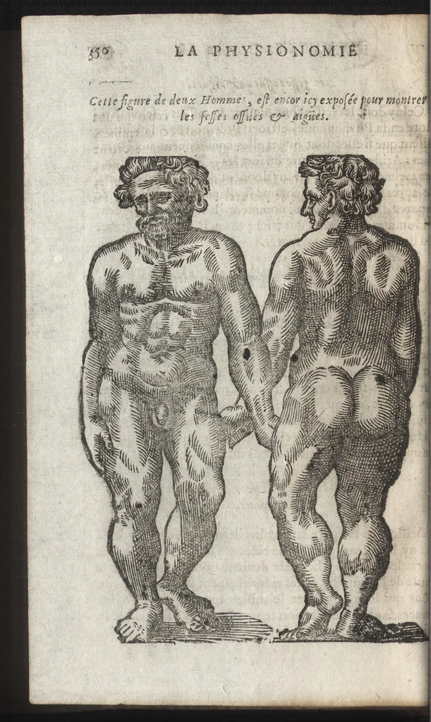 An illustration from La physionomie humaine de Iean Baptiste Porta neapolitain, divisée en quatre liures : enrichie de quantité de figures tirées au naturel, ou par les signes exterieurs du corps, on voit si clairement la complexion, les mœurs, & les desseins des hommes, qu'on semble penetrer iusques au plus profond de leurs ames ..., 1655, leaf 373