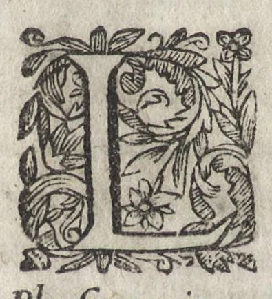 An illustration from La physionomie humaine de Iean Baptiste Porta neapolitain, divisée en quatre liures : enrichie de quantité de figures tirées au naturel, ou par les signes exterieurs du corps, on voit si clairement la complexion, les mœurs, & les desseins des hommes, qu'on semble penetrer iusques au plus profond de leurs ames ..., 1655, leaf 419