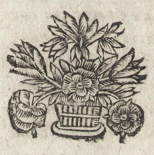 An illustration from La physionomie humaine de Iean Baptiste Porta neapolitain, divisée en quatre liures : enrichie de quantité de figures tirées au naturel, ou par les signes exterieurs du corps, on voit si clairement la complexion, les mœurs, & les desseins des hommes, qu'on semble penetrer iusques au plus profond de leurs ames ..., 1655, leaf 421