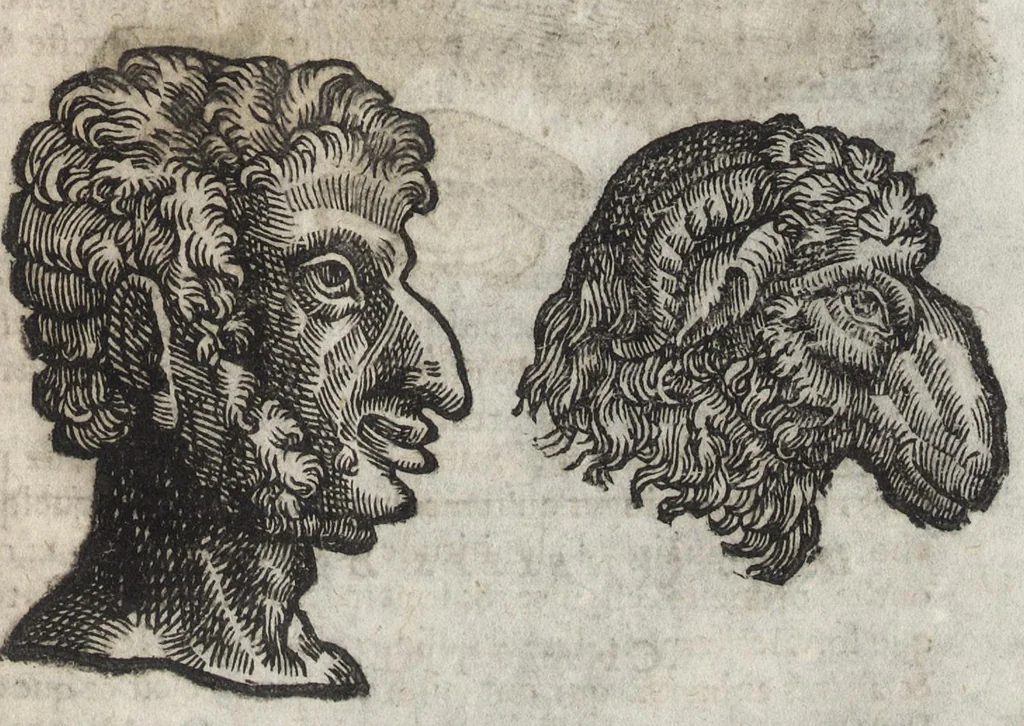 An illustration from La physionomie humaine de Iean Baptiste Porta neapolitain, divisée en quatre liures : enrichie de quantité de figures tirées au naturel, ou par les signes exterieurs du corps, on voit si clairement la complexion, les mœurs, & les desseins des hommes, qu'on semble penetrer iusques au plus profond de leurs ames ..., 1655, leaf 432