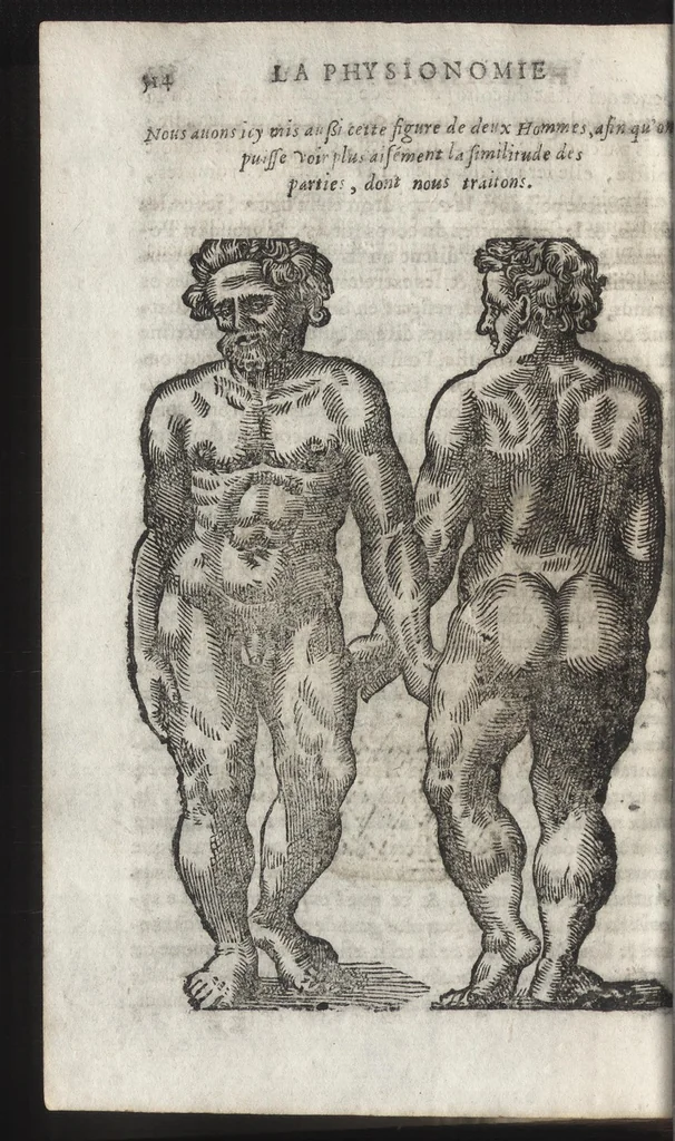An illustration from La physionomie humaine de Iean Baptiste Porta neapolitain, divisée en quatre liures : enrichie de quantité de figures tirées au naturel, ou par les signes exterieurs du corps, on voit si clairement la complexion, les mœurs, & les desseins des hommes, qu'on semble penetrer iusques au plus profond de leurs ames ..., 1655, leaf 531