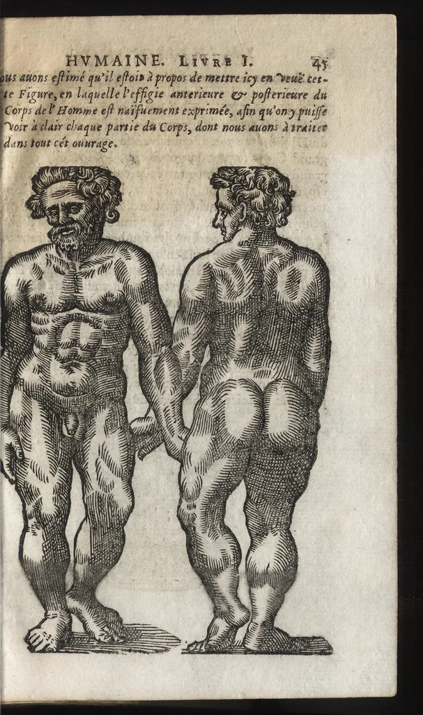 An illustration from La physionomie humaine de Iean Baptiste Porta neapolitain, divisée en quatre liures : enrichie de quantité de figures tirées au naturel, ou par les signes exterieurs du corps, on voit si clairement la complexion, les mœurs, & les desseins des hommes, qu'on semble penetrer iusques au plus profond de leurs ames ..., 1655, leaf 64