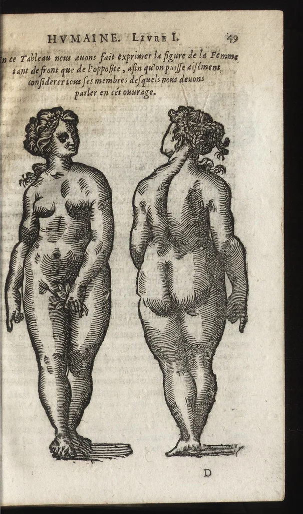 An illustration from La physionomie humaine de Iean Baptiste Porta neapolitain, divisée en quatre liures : enrichie de quantité de figures tirées au naturel, ou par les signes exterieurs du corps, on voit si clairement la complexion, les mœurs, & les desseins des hommes, qu'on semble penetrer iusques au plus profond de leurs ames ..., 1655, leaf 68