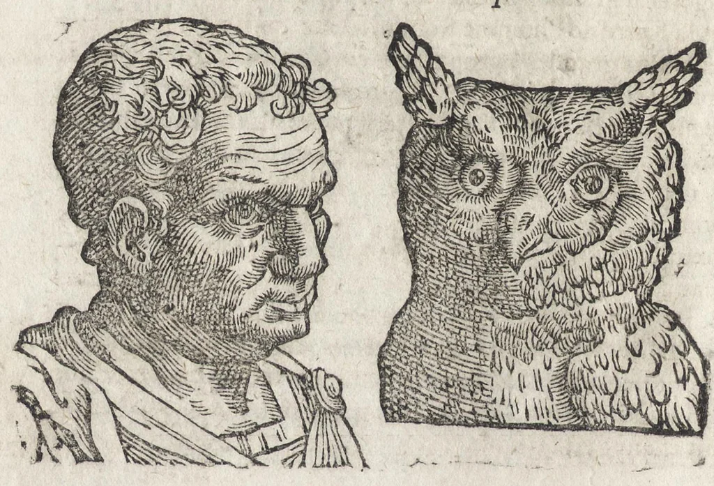 An illustration from La physionomie humaine de Iean Baptiste Porta neapolitain, divisée en quatre liures : enrichie de quantité de figures tirées au naturel, ou par les signes exterieurs du corps, on voit si clairement la complexion, les mœurs, & les desseins des hommes, qu'on semble penetrer iusques au plus profond de leurs ames ..., 1655, leaf 89