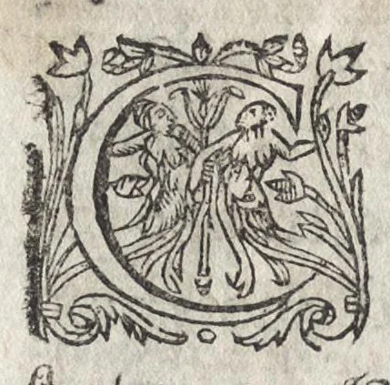 An illustration from La physionomie humaine de Iean Baptiste Porta neapolitain, divisée en quatre liures : enrichie de quantité de figures tirées au naturel, ou par les signes exterieurs du corps, on voit si clairement la complexion, les mœurs, & les desseins des hommes, qu'on semble penetrer iusques au plus profond de leurs ames ..., 1655, leaf 9