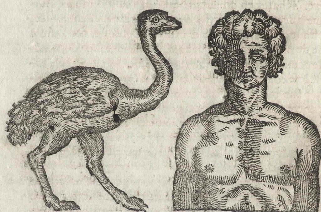 An illustration from La physionomie humaine de Iean Baptiste Porta neapolitain, divisée en quatre liures : enrichie de quantité de figures tirées au naturel, ou par les signes exterieurs du corps, on voit si clairement la complexion, les mœurs, & les desseins des hommes, qu'on semble penetrer iusques au plus profond de leurs ames ..., 1655, leaf 95