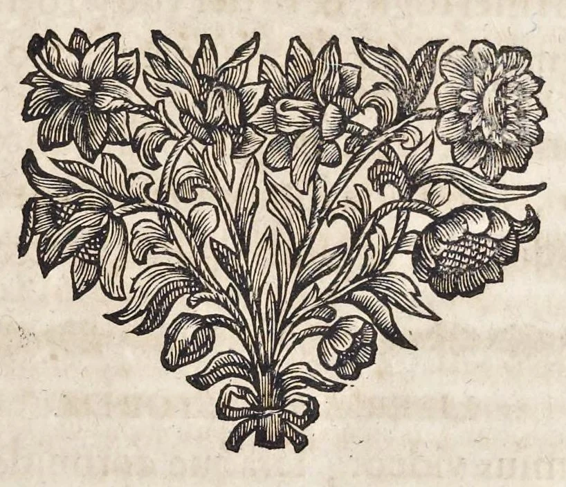 An illustration from Homo et ejus partes figuratus & symbolicus, anatomicus, rationalis, moralis, mysticus, politicus, & legalis : collectus et explicatus cum figuris, symbolis, anatomiis ... reflexionibus et declarationibus tam ex sacris quàm profanis auctoribus desumptis, 1695, leaf 14