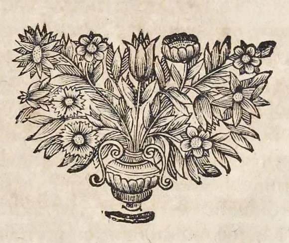 An illustration from Homo et ejus partes figuratus & symbolicus, anatomicus, rationalis, moralis, mysticus, politicus, & legalis : collectus et explicatus cum figuris, symbolis, anatomiis ... reflexionibus et declarationibus tam ex sacris quàm profanis auctoribus desumptis, 1695, leaf 18
