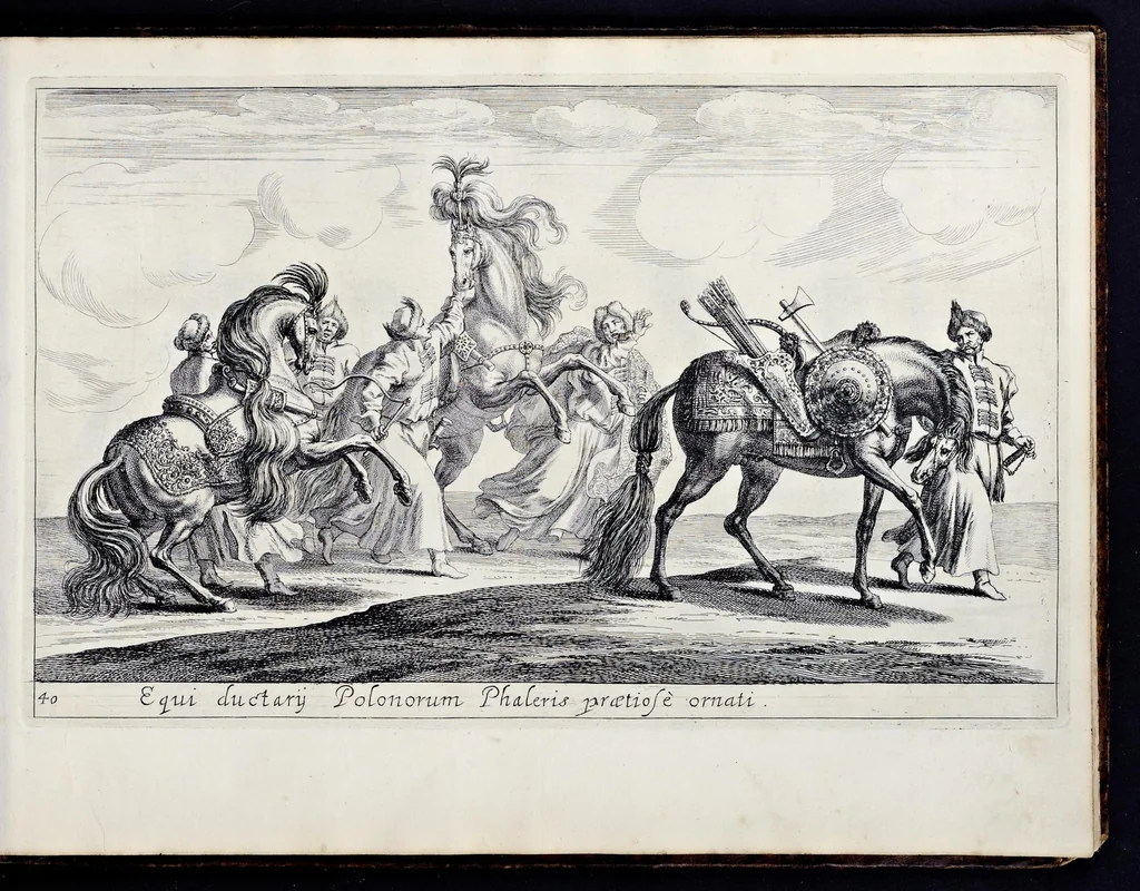 An illustration from Das grosse Carrosel und prächtige Ring-Rännen : nebst dem was sonsten fürtrefliches zu sehen war, alss ... Carl der eÿlffte, die Regierung seines vaterlichen Erb-Königreichs anno M.DC.LXXII. den XVIII.den Decembris ln seiner königlichen Residentz zu Stockholm antratt, 1685, leaf 104