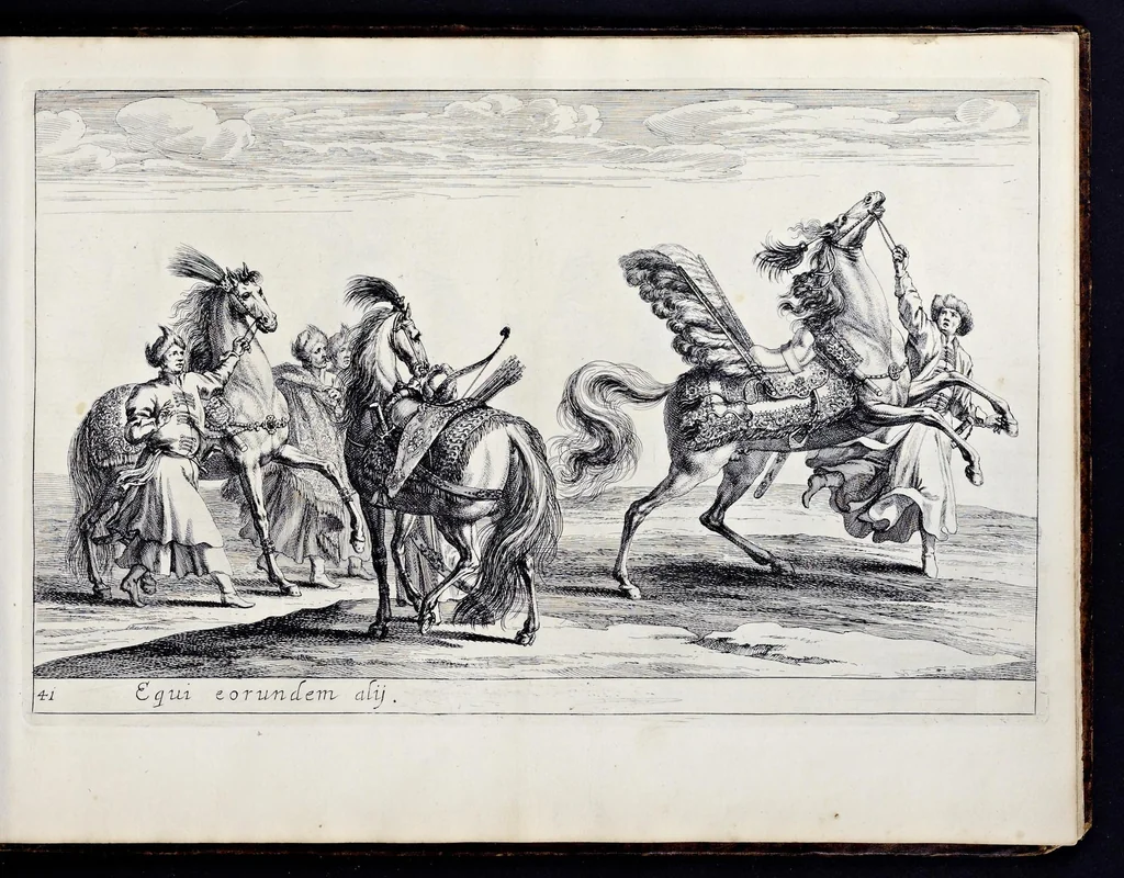 An illustration from Das grosse Carrosel und prächtige Ring-Rännen : nebst dem was sonsten fürtrefliches zu sehen war, alss ... Carl der eÿlffte, die Regierung seines vaterlichen Erb-Königreichs anno M.DC.LXXII. den XVIII.den Decembris ln seiner königlichen Residentz zu Stockholm antratt, 1685, leaf 106