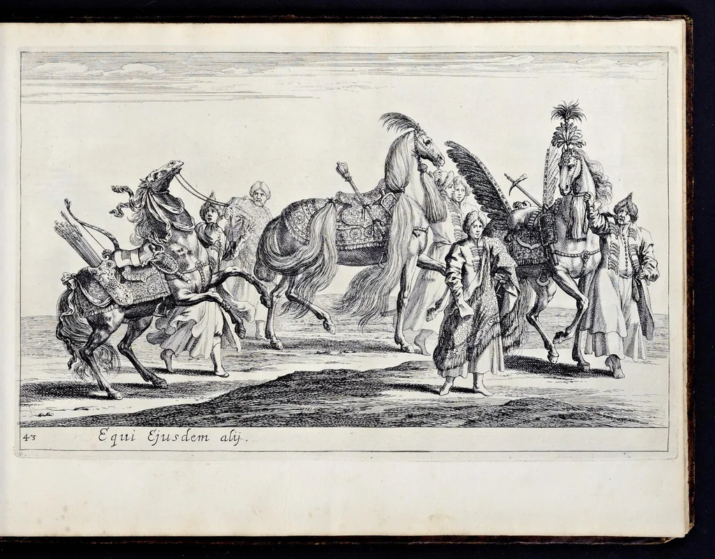 An illustration from Das grosse Carrosel und prächtige Ring-Rännen : nebst dem was sonsten fürtrefliches zu sehen war, alss ... Carl der eÿlffte, die Regierung seines vaterlichen Erb-Königreichs anno M.DC.LXXII. den XVIII.den Decembris ln seiner königlichen Residentz zu Stockholm antratt, 1685, leaf 110