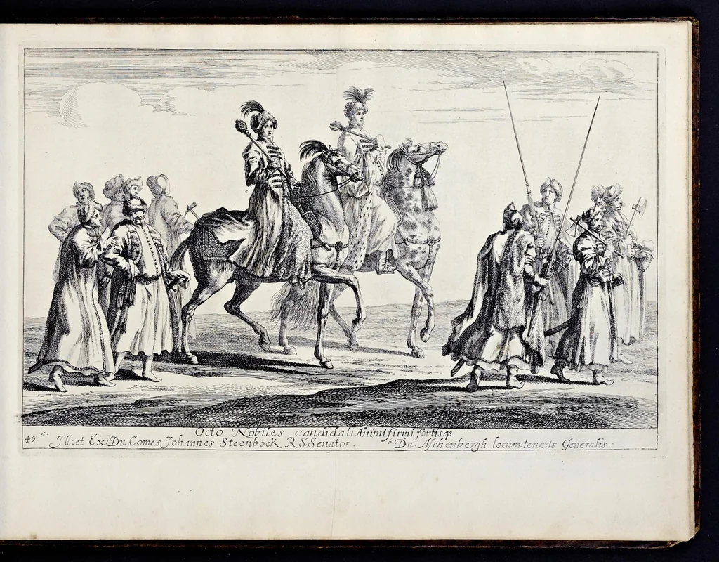 An illustration from Das grosse Carrosel und prächtige Ring-Rännen : nebst dem was sonsten fürtrefliches zu sehen war, alss ... Carl der eÿlffte, die Regierung seines vaterlichen Erb-Königreichs anno M.DC.LXXII. den XVIII.den Decembris ln seiner königlichen Residentz zu Stockholm antratt, 1685, leaf 116