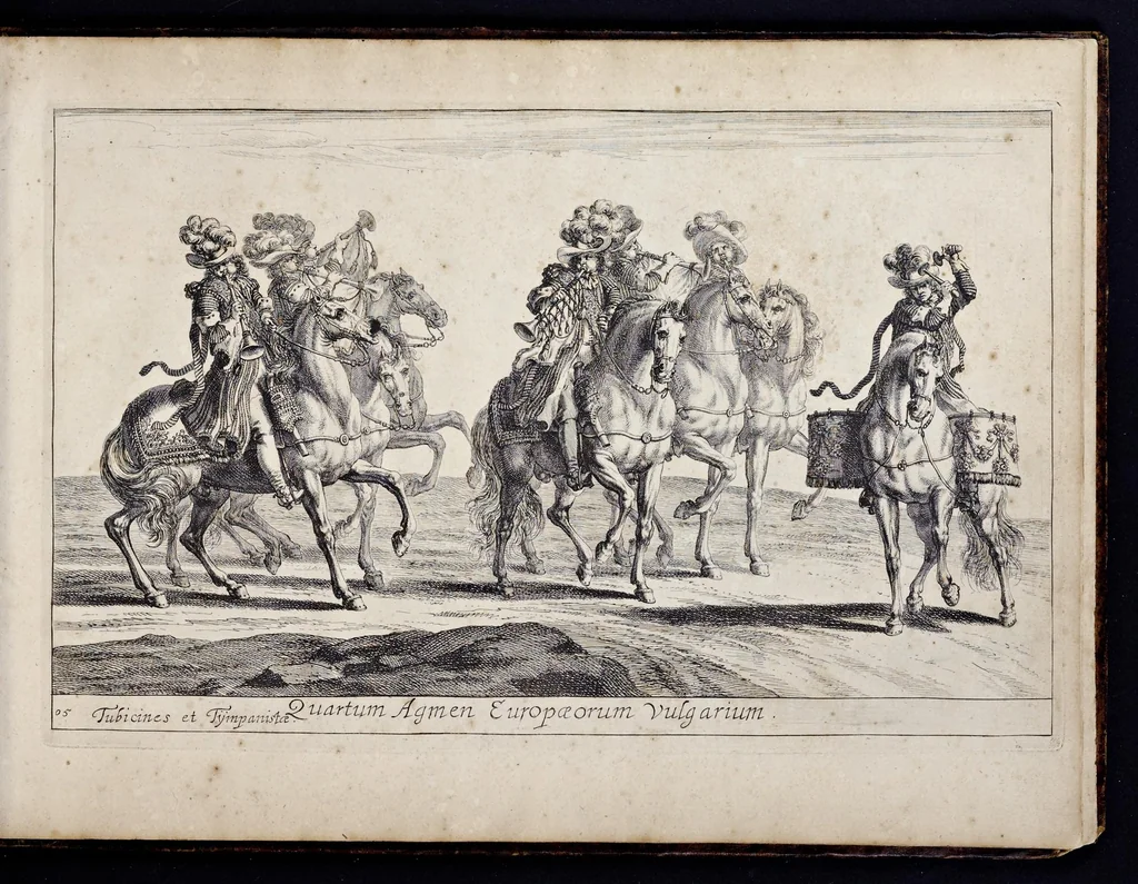 An illustration from Das grosse Carrosel und prächtige Ring-Rännen : nebst dem was sonsten fürtrefliches zu sehen war, alss ... Carl der eÿlffte, die Regierung seines vaterlichen Erb-Königreichs anno M.DC.LXXII. den XVIII.den Decembris ln seiner königlichen Residentz zu Stockholm antratt, 1685, leaf 124