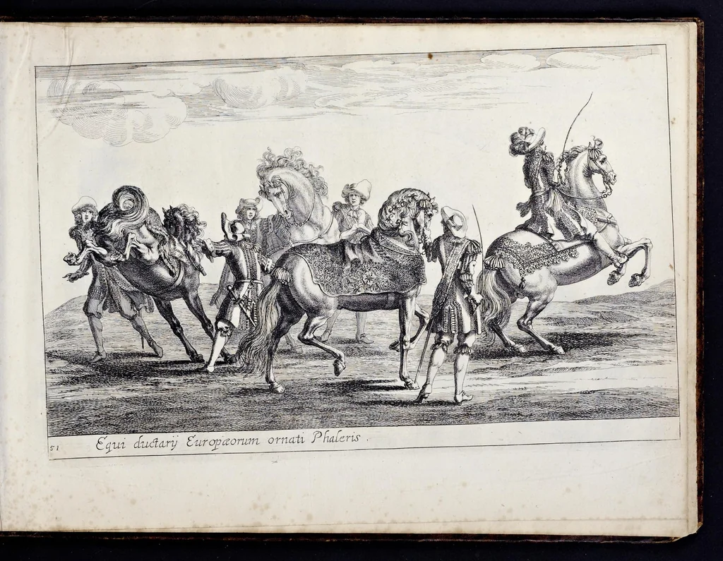 An illustration from Das grosse Carrosel und prächtige Ring-Rännen : nebst dem was sonsten fürtrefliches zu sehen war, alss ... Carl der eÿlffte, die Regierung seines vaterlichen Erb-Königreichs anno M.DC.LXXII. den XVIII.den Decembris ln seiner königlichen Residentz zu Stockholm antratt, 1685, leaf 126