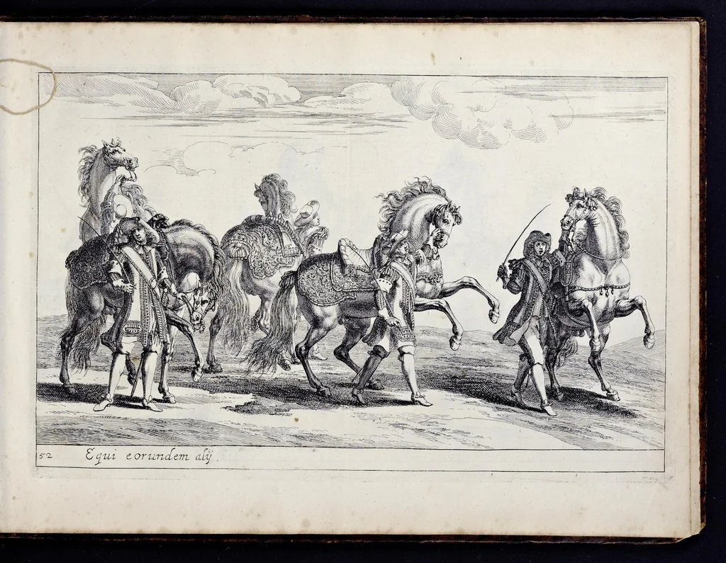 An illustration from Das grosse Carrosel und prächtige Ring-Rännen : nebst dem was sonsten fürtrefliches zu sehen war, alss ... Carl der eÿlffte, die Regierung seines vaterlichen Erb-Königreichs anno M.DC.LXXII. den XVIII.den Decembris ln seiner königlichen Residentz zu Stockholm antratt, 1685, leaf 128