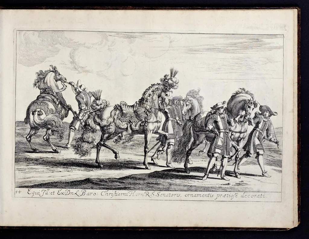 An illustration from Das grosse Carrosel und prächtige Ring-Rännen : nebst dem was sonsten fürtrefliches zu sehen war, alss ... Carl der eÿlffte, die Regierung seines vaterlichen Erb-Königreichs anno M.DC.LXXII. den XVIII.den Decembris ln seiner königlichen Residentz zu Stockholm antratt, 1685, leaf 132