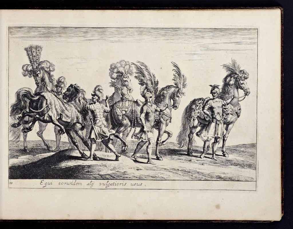 An illustration from Das grosse Carrosel und prächtige Ring-Rännen : nebst dem was sonsten fürtrefliches zu sehen war, alss ... Carl der eÿlffte, die Regierung seines vaterlichen Erb-Königreichs anno M.DC.LXXII. den XVIII.den Decembris ln seiner königlichen Residentz zu Stockholm antratt, 1685, leaf 44