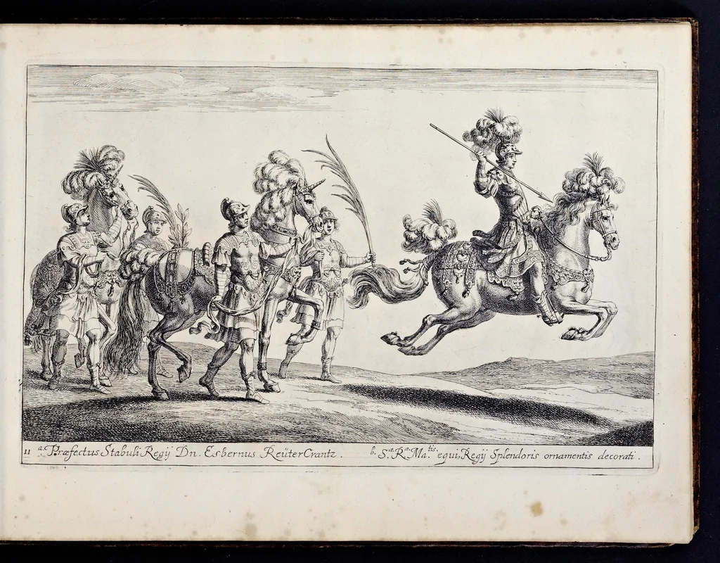 An illustration from Das grosse Carrosel und prächtige Ring-Rännen : nebst dem was sonsten fürtrefliches zu sehen war, alss ... Carl der eÿlffte, die Regierung seines vaterlichen Erb-Königreichs anno M.DC.LXXII. den XVIII.den Decembris ln seiner königlichen Residentz zu Stockholm antratt, 1685, leaf 46