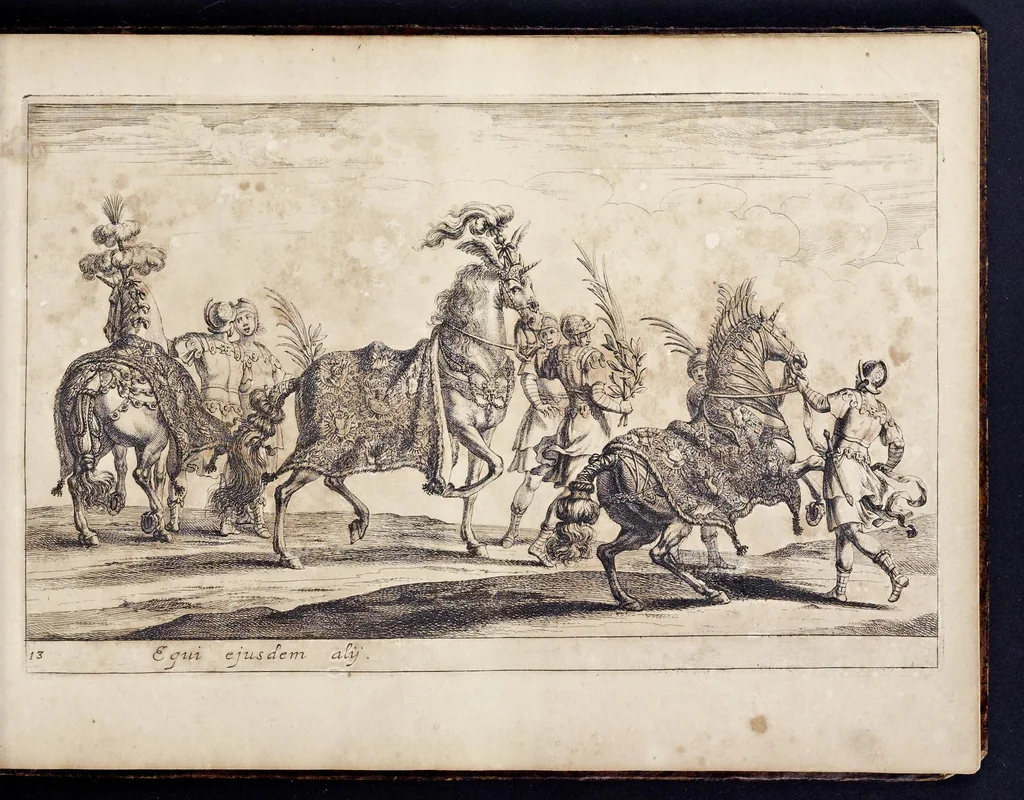 An illustration from Das grosse Carrosel und prächtige Ring-Rännen : nebst dem was sonsten fürtrefliches zu sehen war, alss ... Carl der eÿlffte, die Regierung seines vaterlichen Erb-Königreichs anno M.DC.LXXII. den XVIII.den Decembris ln seiner königlichen Residentz zu Stockholm antratt, 1685, leaf 50