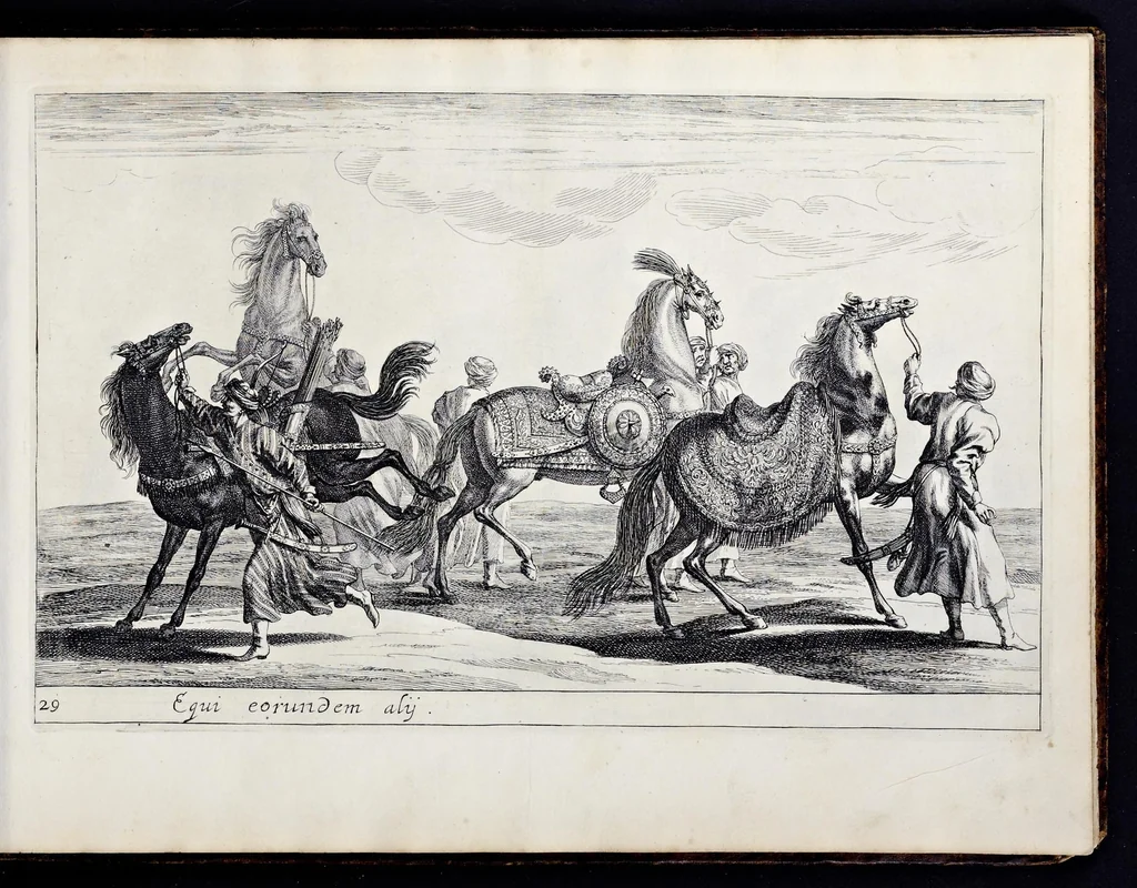 An illustration from Das grosse Carrosel und prächtige Ring-Rännen : nebst dem was sonsten fürtrefliches zu sehen war, alss ... Carl der eÿlffte, die Regierung seines vaterlichen Erb-Königreichs anno M.DC.LXXII. den XVIII.den Decembris ln seiner königlichen Residentz zu Stockholm antratt, 1685, leaf 82