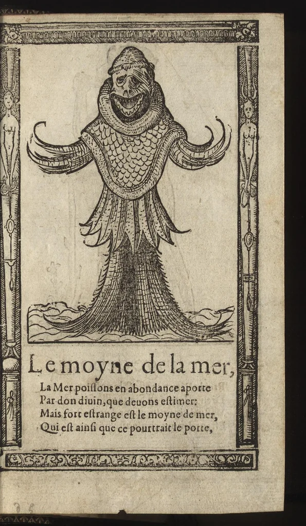 An illustration from Recueil de la diuersité des habits, : qui sont de present en vsage, tant es pays d'Europe. Asie, Affrique & Isles sauuages, le tout fait apres le naturel, 1567, leaf 62