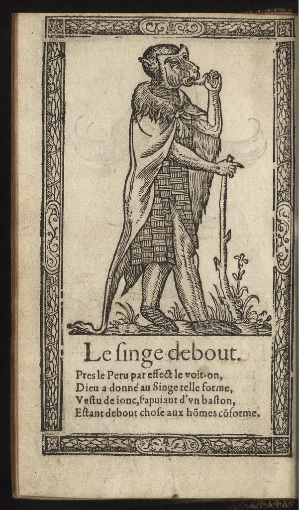 An illustration from Recueil de la diuersité des habits, : qui sont de present en vsage, tant es pays d'Europe. Asie, Affrique & Isles sauuages, le tout fait apres le naturel, 1567, leaf 63
