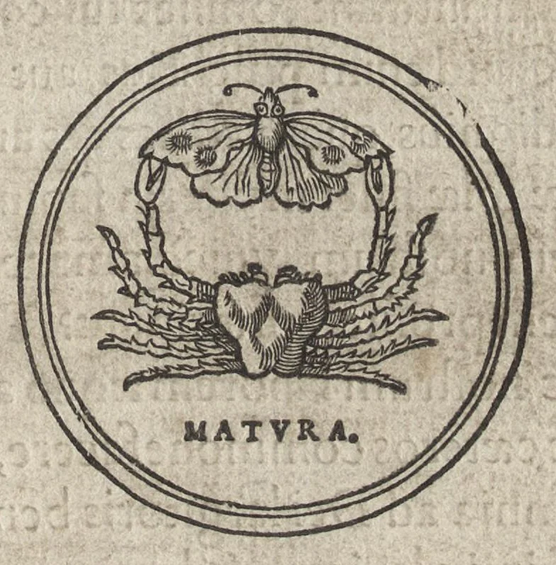 An illustration from Icones historiarvm Veteris Testamenti : ad viuum expressae, extremàque diligentia emendatiores factae : Gallicis in expositione homoeoteleutis, ac versuum ordinibus (qui priùs turbati, ac impares) suo numero restitutis, 1547, leaf 4