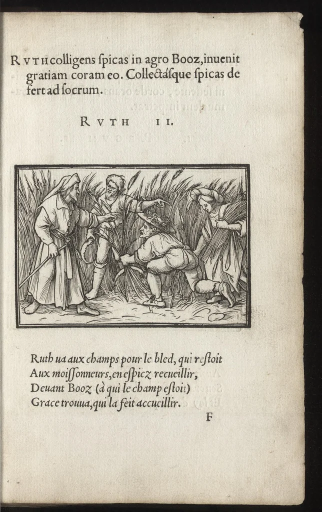 An illustration from Icones historiarvm Veteris Testamenti : ad viuum expressae, extremàque diligentia emendatiores factae : Gallicis in expositione homoeoteleutis, ac versuum ordinibus (qui priùs turbati, ac impares) suo numero restitutis, 1547, leaf 44