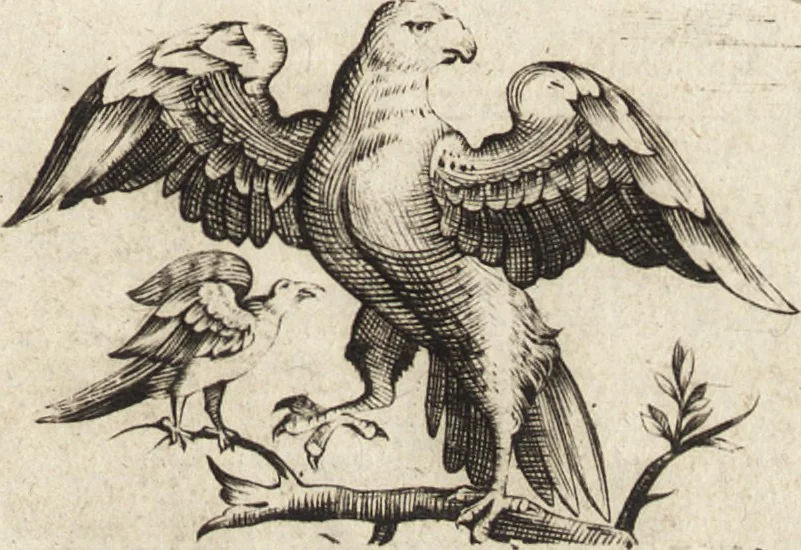 An illustration from Quattro discorsi di Anton Chi-Chiama, bidello dell'Accademia Veneziana, di pittura, scultura, e Architettura : che possono servire di risposto a quanto scrisse, scrive, e scriverà in biasimo della scuola, e de' maestri Veneziani, il cav. Giosue' Reynolds, presidente della R. Accademia di Londra ec. : aggiuntevi sul fine d'ogni discorso alcune critiche annotazioni, 1783, leaf 4