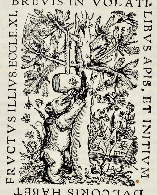 An illustration from Catalogvs annorvm et principvm siue monarcharvm mvndi geminvs : plerisqve in locis obscvrioribus illustratus & in caelebrioribus locupletatus atq[ue] à mendis, recognitione diligenti repurgatus : cum accessione multorum aliorum quae in priori aeditione non continebantur, quemadmodum suis locis toto libro uidere licebit, ab homine condito, usq[ue] in praesentem, à nato Christo, millesimum quingentesimum & quinquagesimum annum deductus & continuatus, 1550, leaf 211
