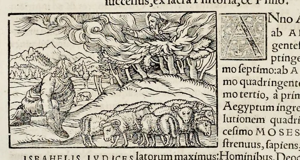 An illustration from Catalogvs annorvm et principvm siue monarcharvm mvndi geminvs : plerisqve in locis obscvrioribus illustratus & in caelebrioribus locupletatus atq[ue] à mendis, recognitione diligenti repurgatus : cum accessione multorum aliorum quae in priori aeditione non continebantur, quemadmodum suis locis toto libro uidere licebit, ab homine condito, usq[ue] in praesentem, à nato Christo, millesimum quingentesimum & quinquagesimum annum deductus & continuatus, 1550, leaf 35
