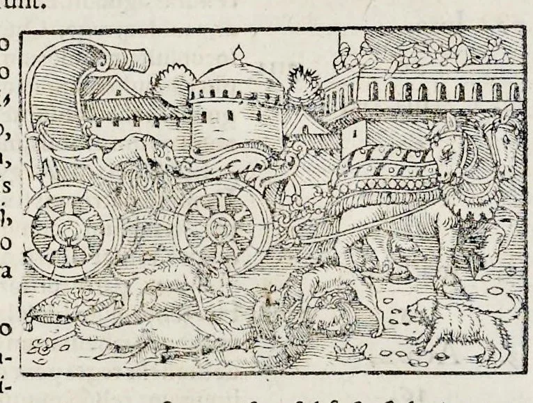 An illustration from Catalogvs annorvm et principvm siue monarcharvm mvndi geminvs : plerisqve in locis obscvrioribus illustratus & in caelebrioribus locupletatus atq[ue] à mendis, recognitione diligenti repurgatus : cum accessione multorum aliorum quae in priori aeditione non continebantur, quemadmodum suis locis toto libro uidere licebit, ab homine condito, usq[ue] in praesentem, à nato Christo, millesimum quingentesimum & quinquagesimum annum deductus & continuatus, 1550, leaf 45