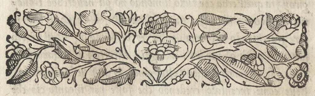 An illustration from La moral' filosophia del Doni, tratta da gli antichi scrittori, 1552, leaf 31