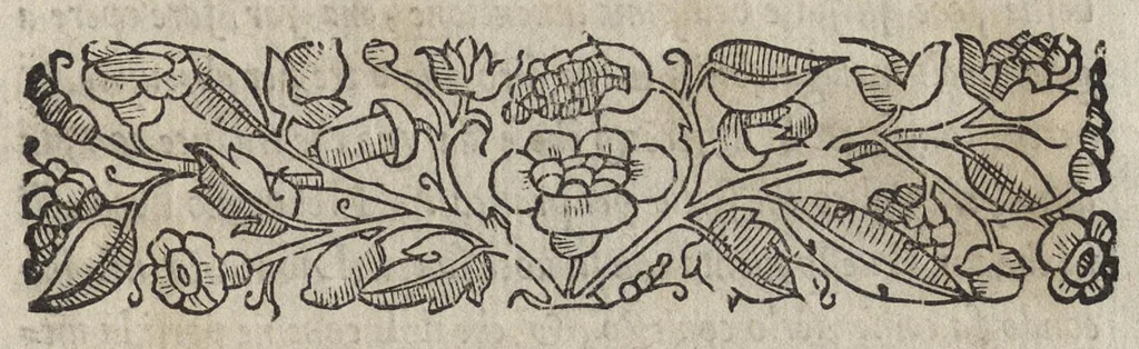 An illustration from La moral' filosophia del Doni, tratta da gli antichi scrittori, 1552, leaf 8