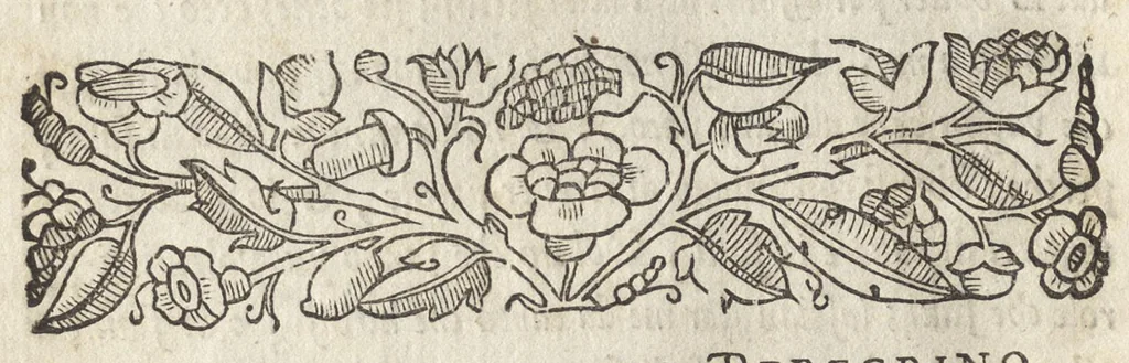 An illustration from La moral' filosophia del Doni, tratta da gli antichi scrittori, 1552, leaf 139