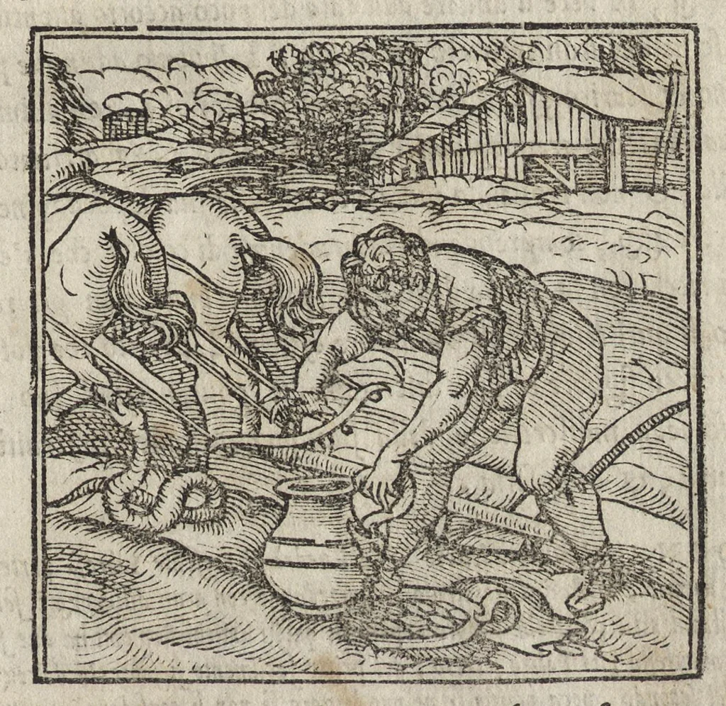 An illustration from La moral' filosophia del Doni, tratta da gli antichi scrittori, 1552, leaf 14