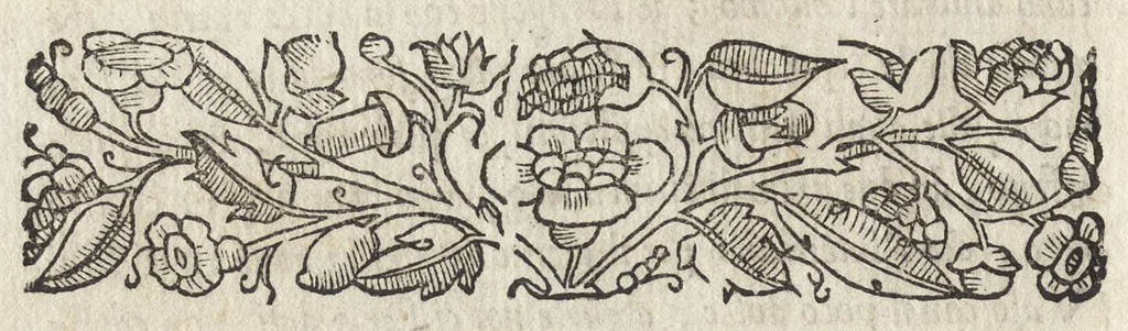 An illustration from La moral' filosophia del Doni, tratta da gli antichi scrittori, 1552, leaf 39