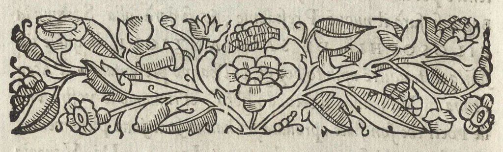 An illustration from La moral' filosophia del Doni, tratta da gli antichi scrittori, 1552, leaf 81