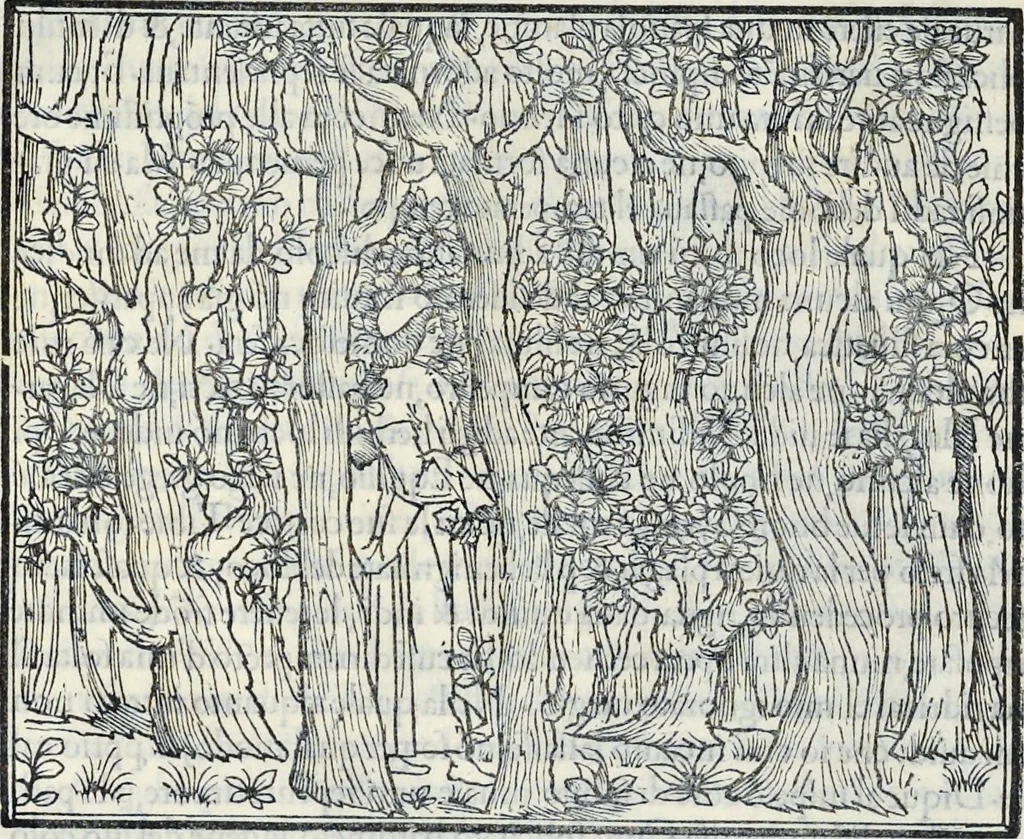An illustration from La Hypnerotomachia di Poliphilo : cioè pvgna d'amore in sogno, dov'egli mostra, che tvtte le cose hvmane non sono altro che sogno, & doue narra molt'altre cose degne di cognitione, 1545, leaf 17