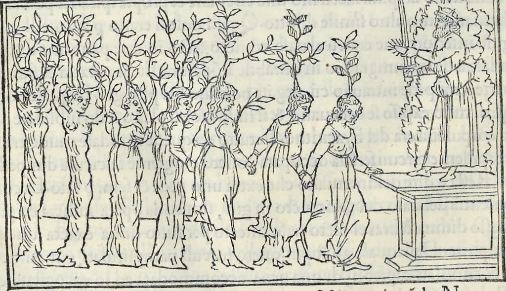 An illustration from La Hypnerotomachia di Poliphilo : cioè pvgna d'amore in sogno, dov'egli mostra, che tvtte le cose hvmane non sono altro che sogno, & doue narra molt'altre cose degne di cognitione, 1545, leaf 177