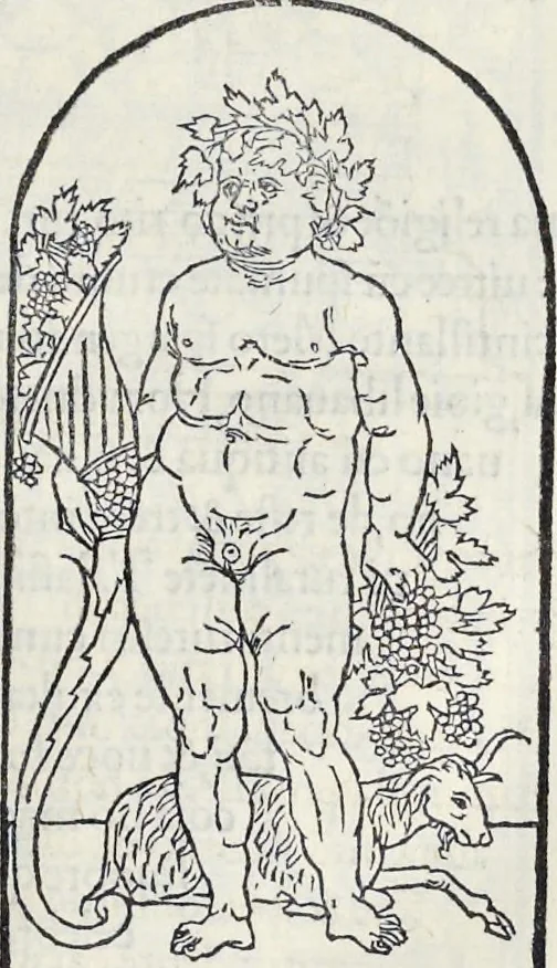 An illustration from La Hypnerotomachia di Poliphilo : cioè pvgna d'amore in sogno, dov'egli mostra, che tvtte le cose hvmane non sono altro che sogno, & doue narra molt'altre cose degne di cognitione, 1545, leaf 196