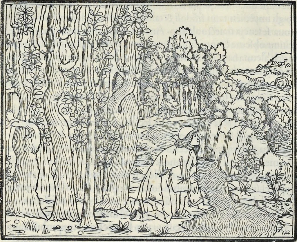 An illustration from La Hypnerotomachia di Poliphilo : cioè pvgna d'amore in sogno, dov'egli mostra, che tvtte le cose hvmane non sono altro che sogno, & doue narra molt'altre cose degne di cognitione, 1545, leaf 21
