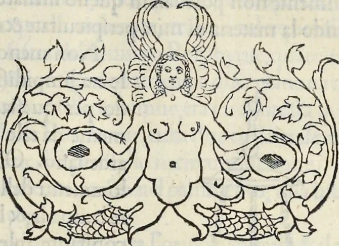 An illustration from La Hypnerotomachia di Poliphilo : cioè pvgna d'amore in sogno, dov'egli mostra, che tvtte le cose hvmane non sono altro che sogno, & doue narra molt'altre cose degne di cognitione, 1545, leaf 210
